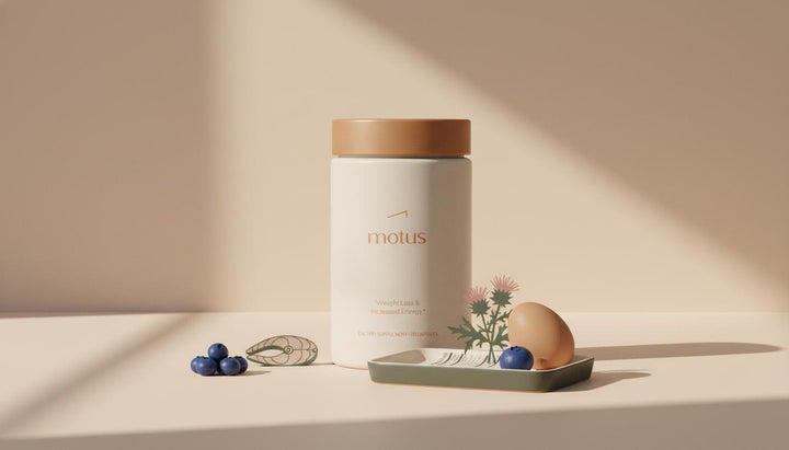 What's better, meal replacement or protein powder? Surprising, Powerful Guide