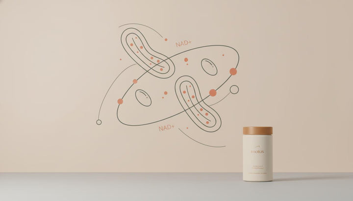 Does vitamin B3 boost metabolism? Powerful, hopeful truth