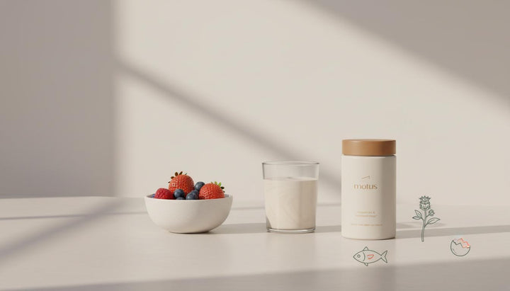 Are protein meal replacements good for you? Practical and Powerful Answers