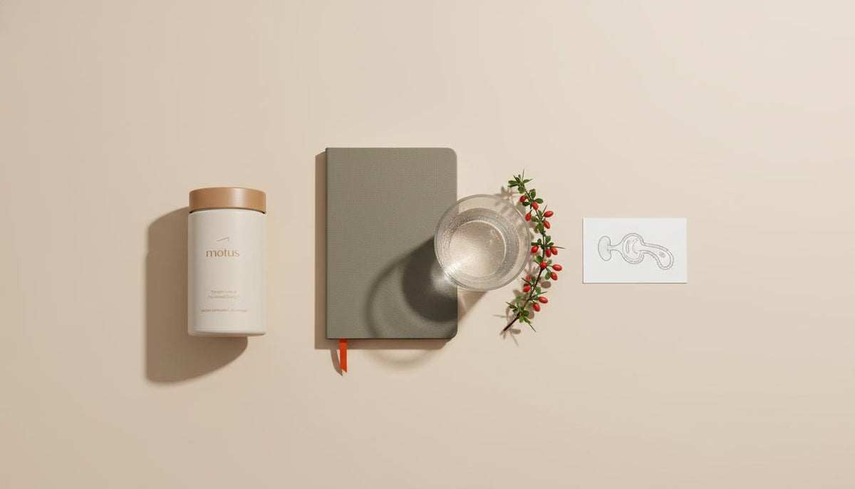 Minimalist flat-lay of the Tonum Motus container with a sprig of berberis, notebook, glass of water and mitochondrion sketch illustrating berberine vs ALA.