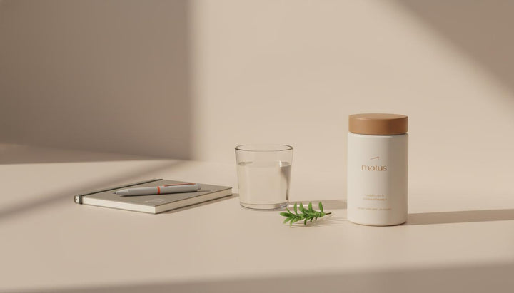 What is the best supplement for memory retention? — Essential Guide