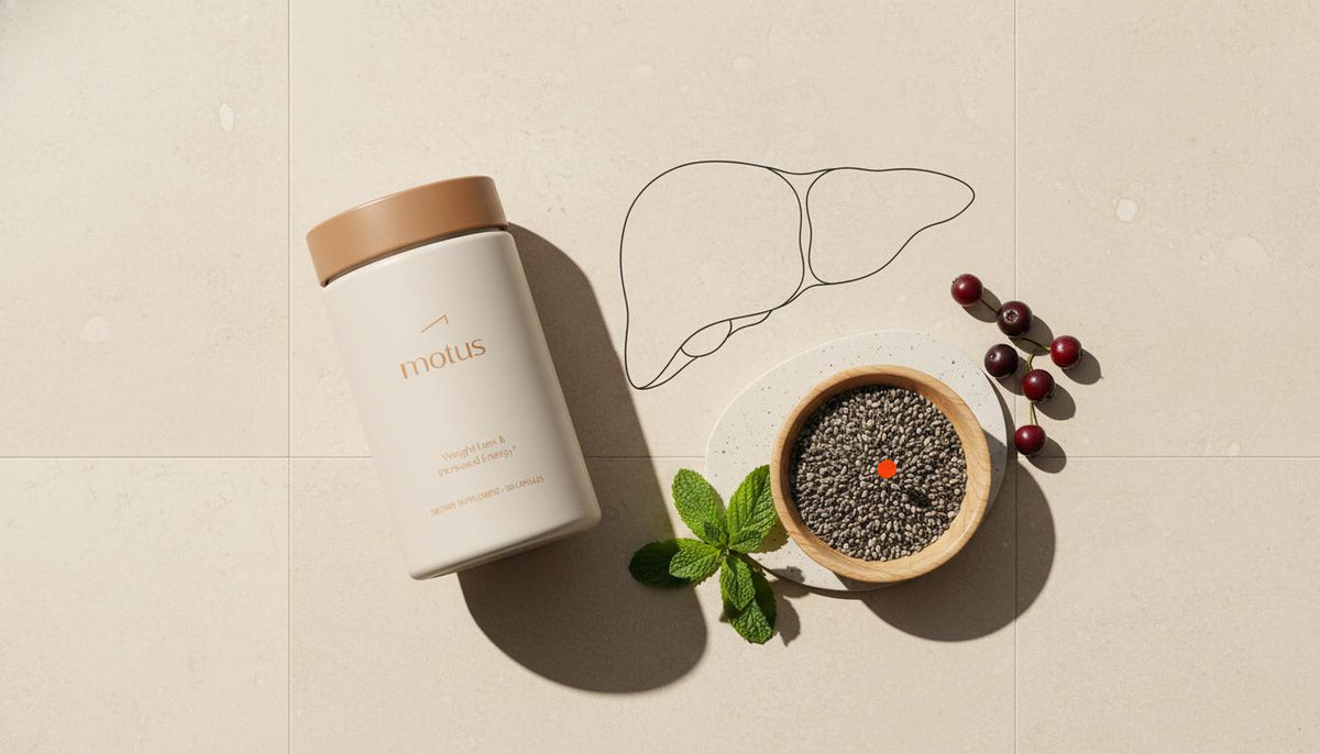 Minimalist still-life of Tonum Motus supplement container beside a wooden bowl of milk thistle seeds, mint sprig, berries and a simple liver schematic on a pale beige tile — does the liver help burn fat
