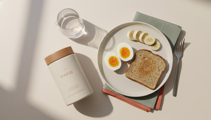 How to rebuild your serotonin levels? — Uplifting, Powerful Steps