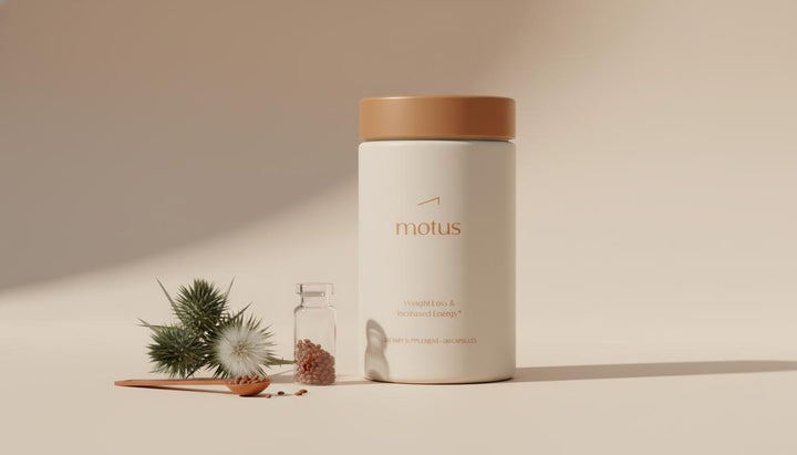 Is milk thistle for kidneys or liver? Hopeful & Powerful