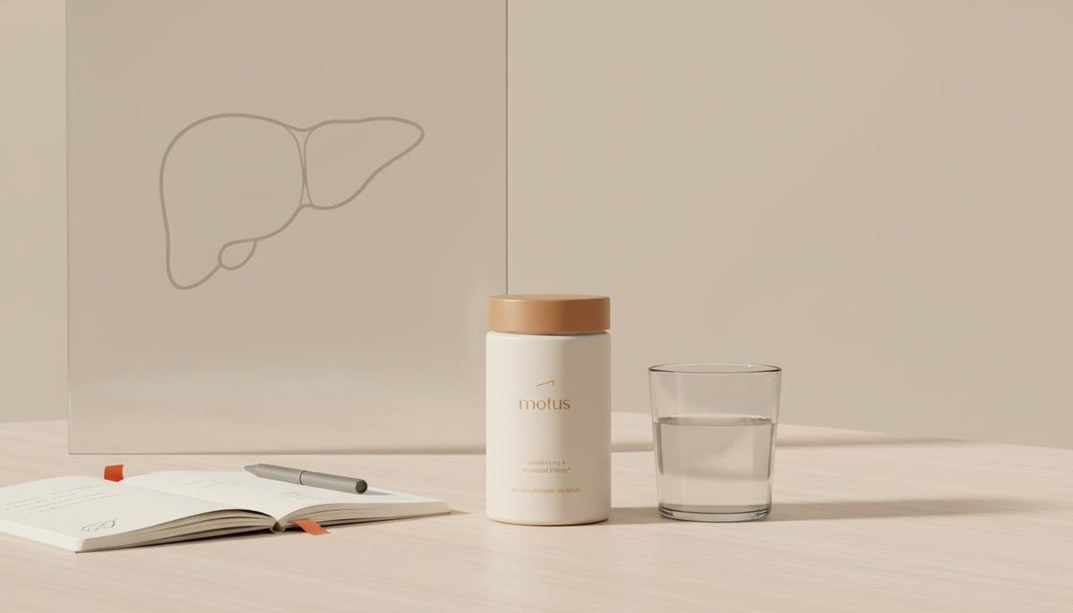 Minimalist still-life of Tonum Motus supplement jar with notebook, glass of water and subtle liver silhouette on frosted glass, for article when does the liver start burning fat