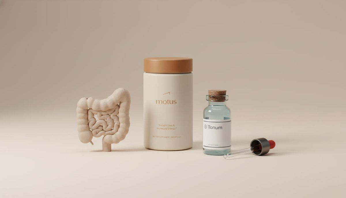 Minimalist lab still life of a clay gut silhouette, pale blue vial and Tonum supplement container on #F2E5D5 background — Where does 90% of serotonin come from?
