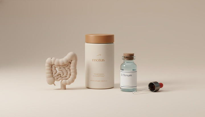 Where does 90% of serotonin come from? Surprising Essential Gut Truth