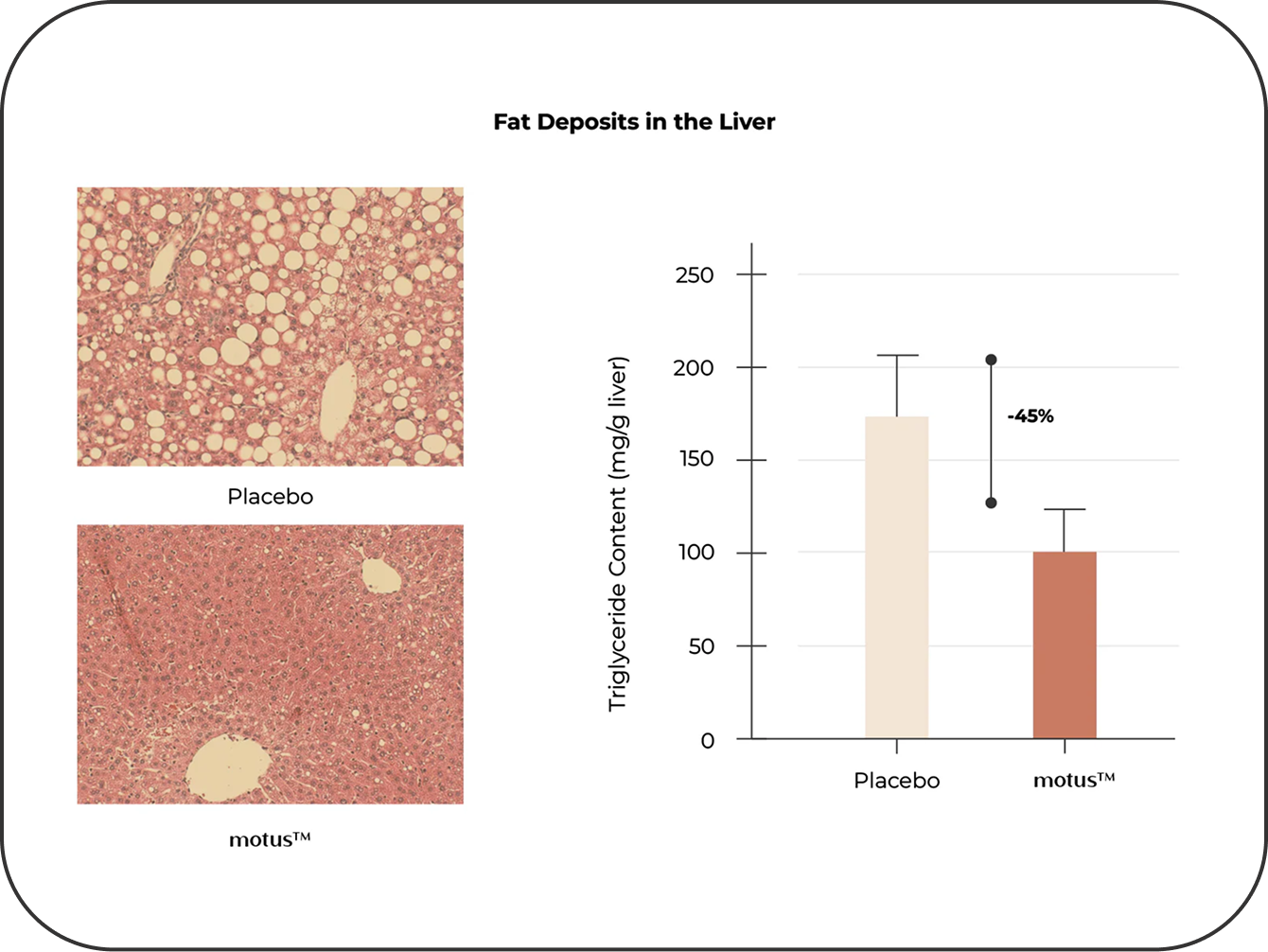 Healthier Liver Markers