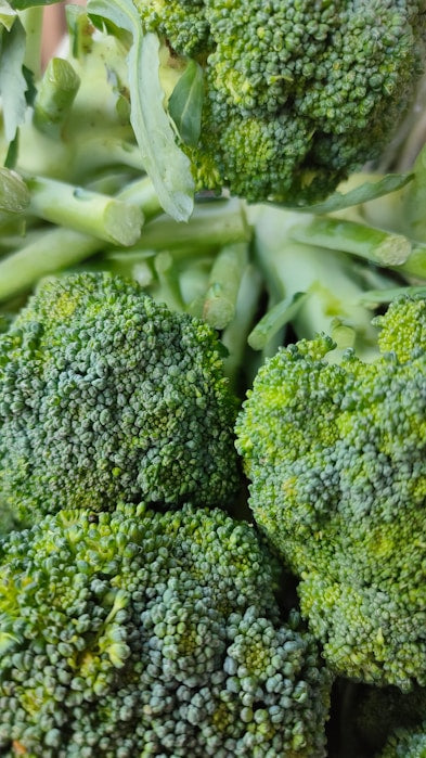 Alpha-Lipoic Acid