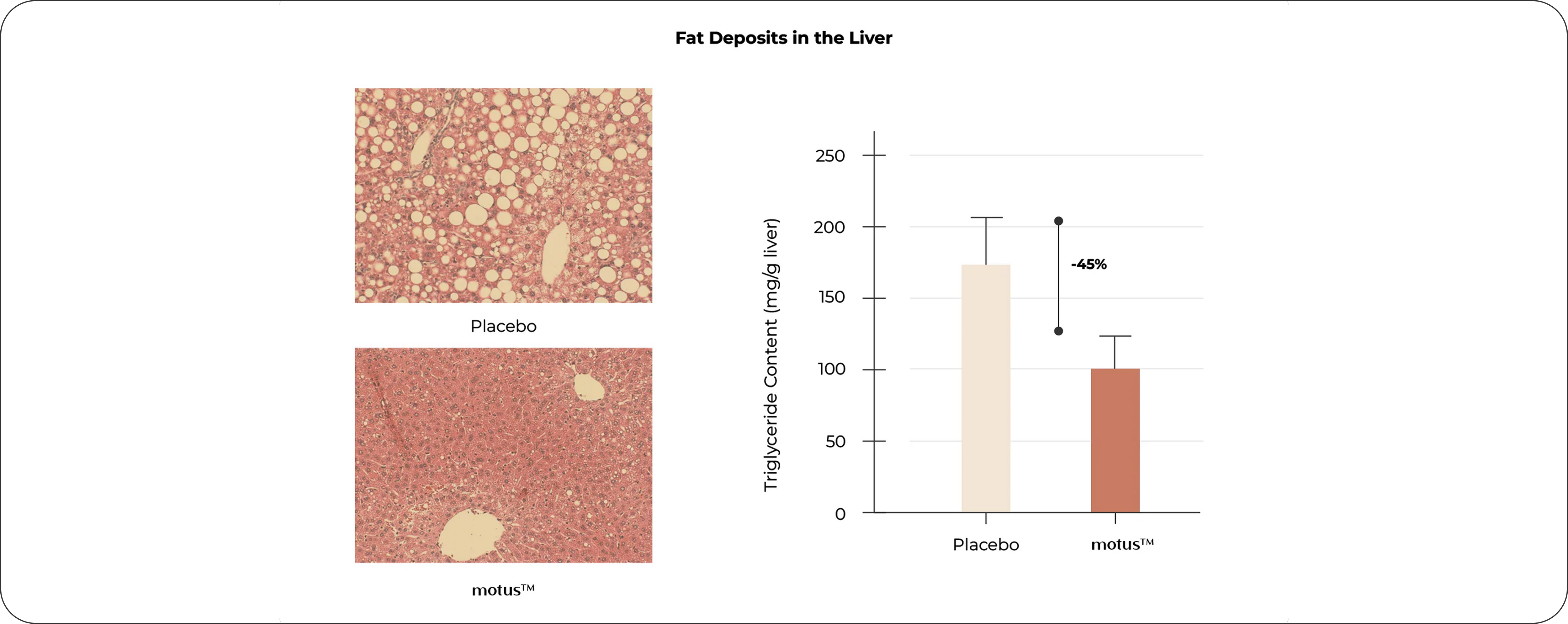 Healthier Liver Markers