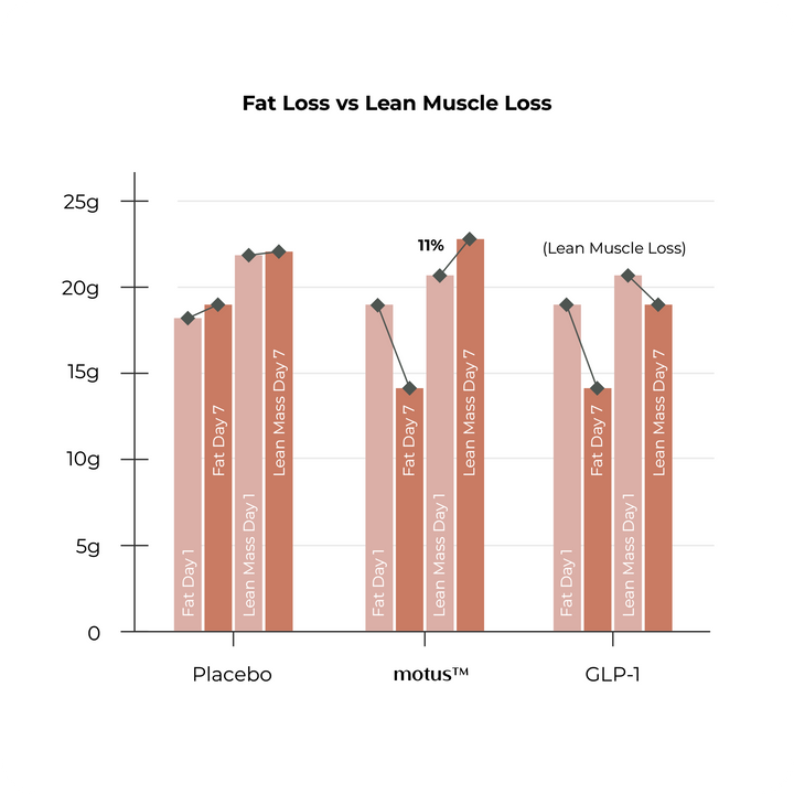 Retains Lean Muscle Mass